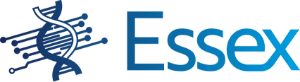 Essex Management